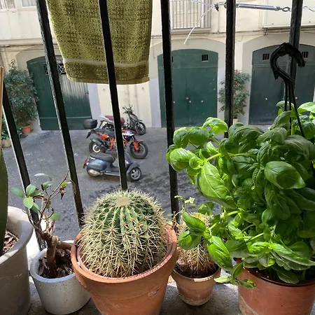 Mdd 66 Apartment Naples